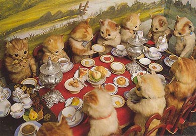 Kitten Tea Party