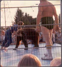 A bear cowers at the might of Dondogo!