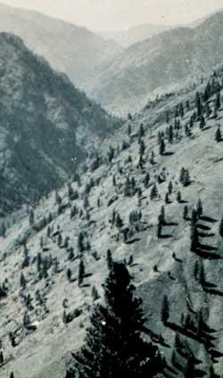 A hidden valley.